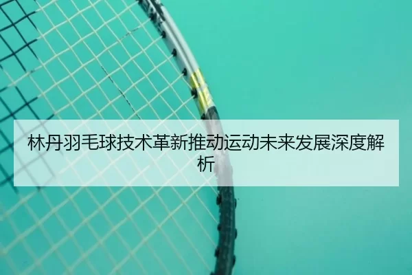 林丹羽毛球技术革新推动运动未来发展深度解析
